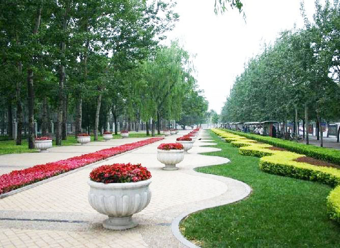 蘇州持續(xù)40度高溫天氣，景觀園林綠化養(yǎng)護(hù)技術(shù)